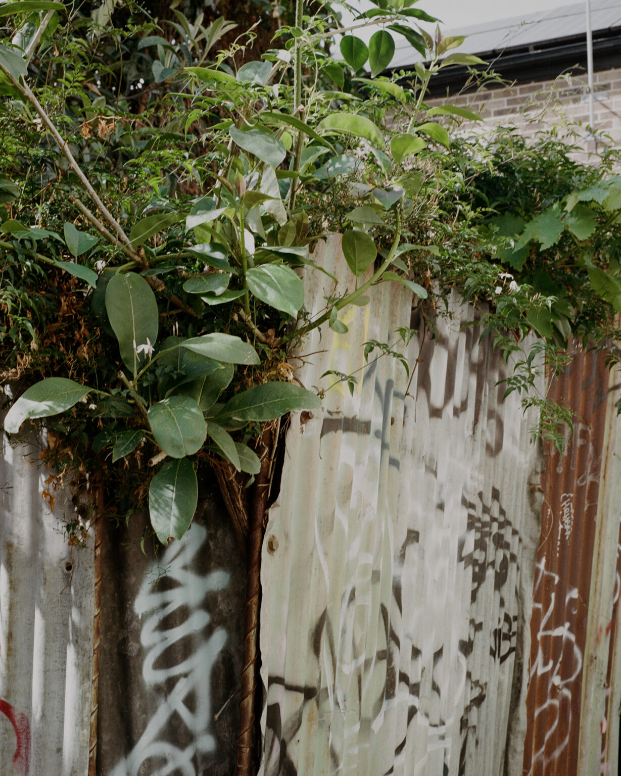 191107_Textures-of-Collingwood_U-P_06