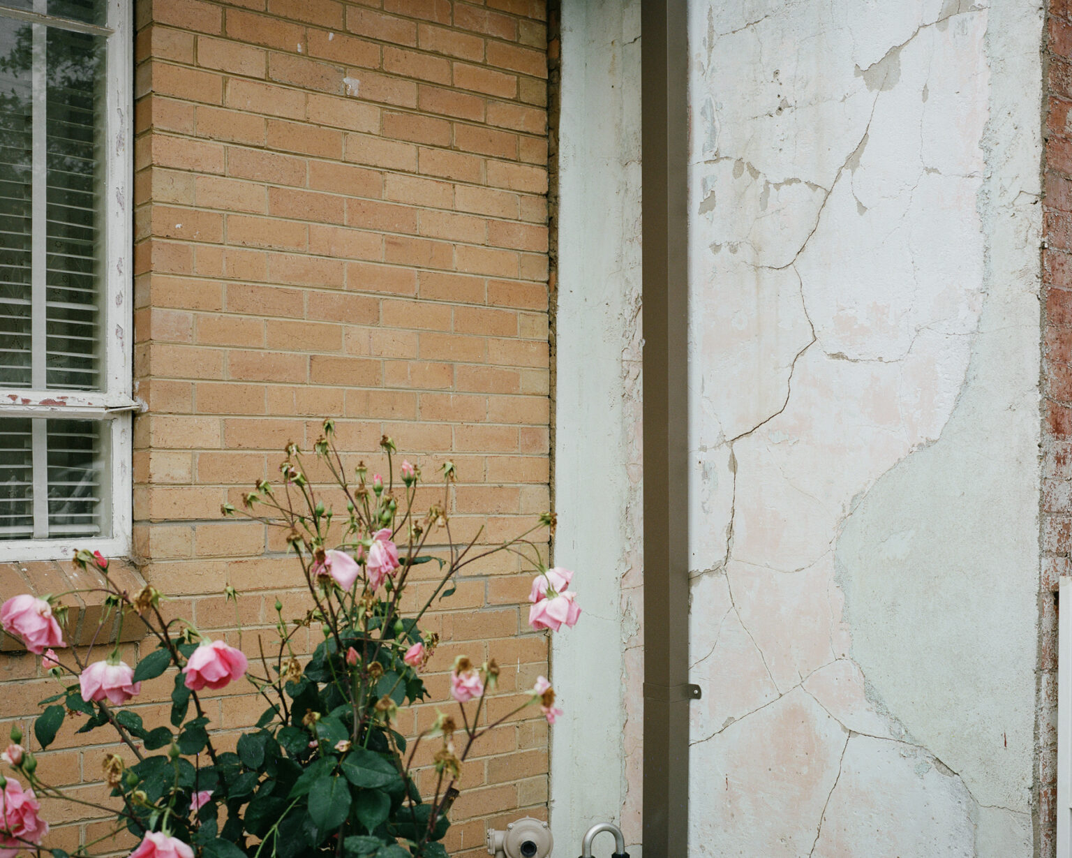 191107_Textures-of-Collingwood_U-P_18