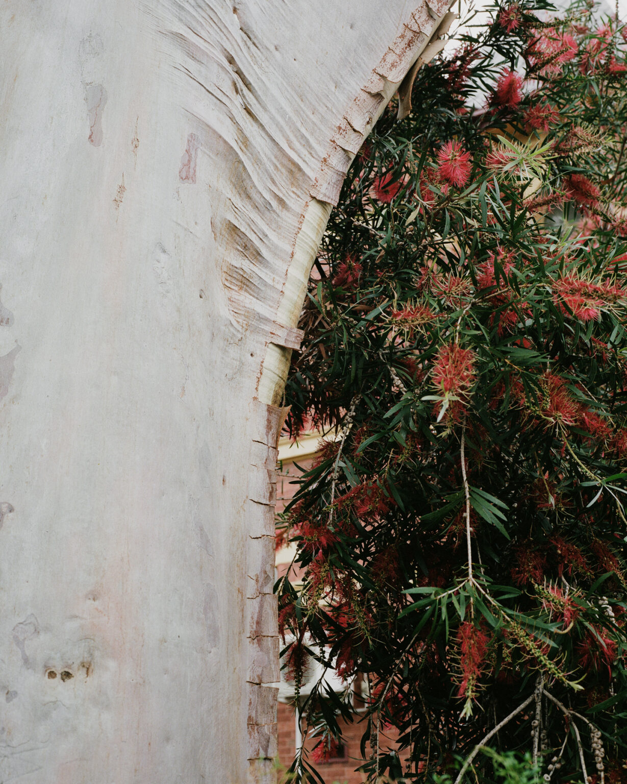 191107_Textures-of-Collingwood_U-P_66