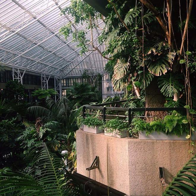 Inside_the_Barbican_Centre_Conservatory