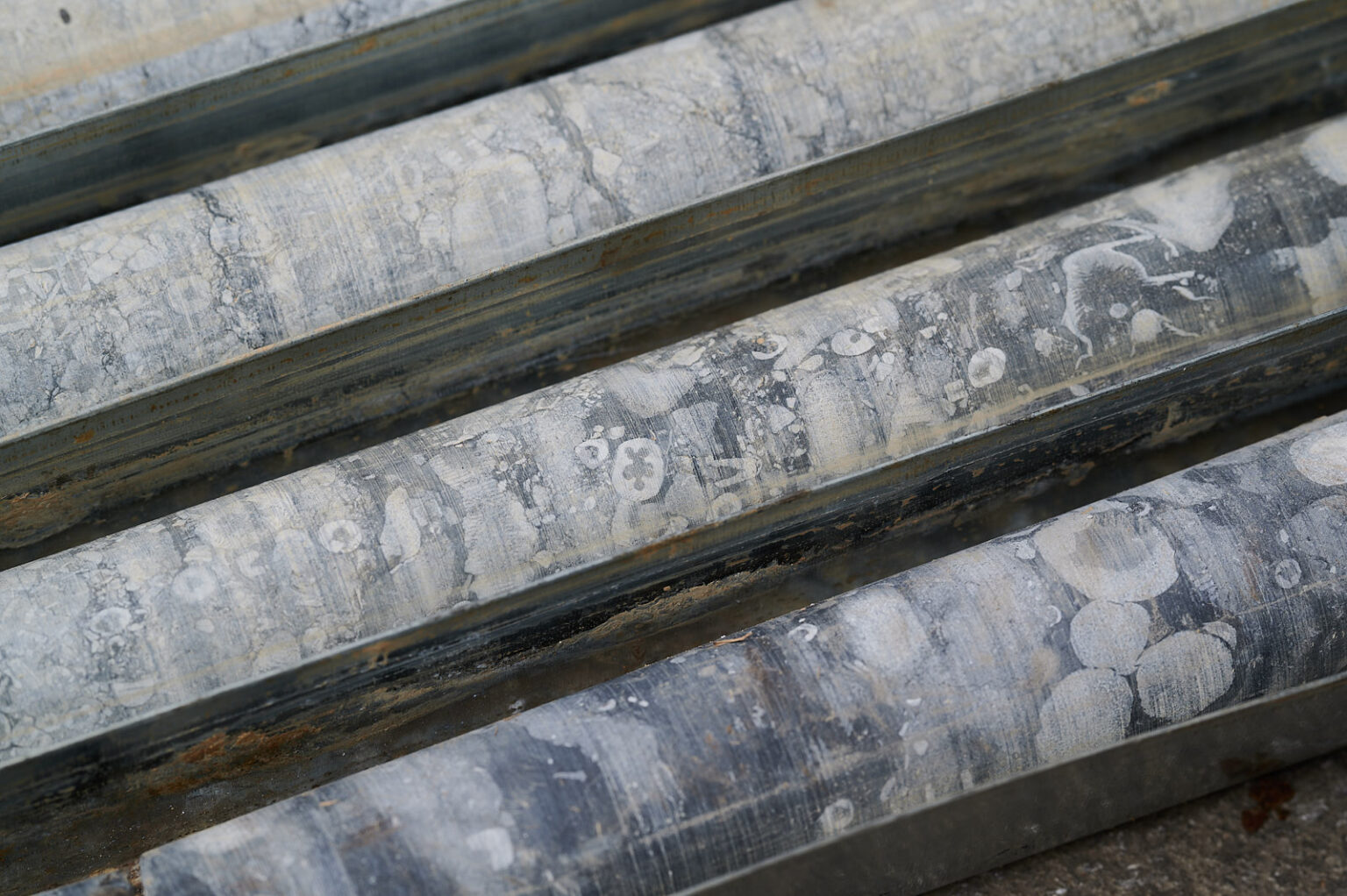 1_200817_Dairy Road_Core samples_Rohan Thomson_18