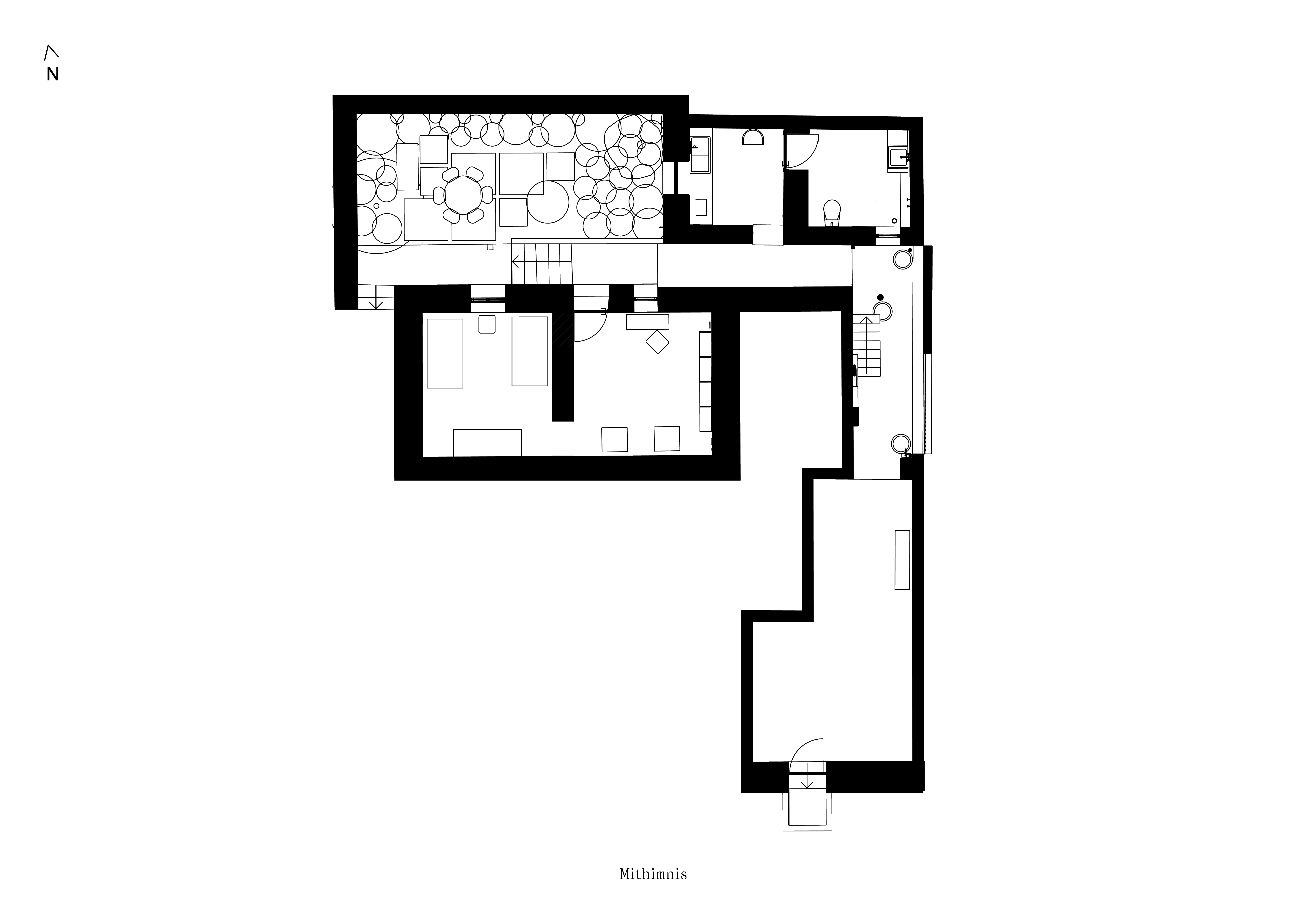Floorplan - Lower Ground