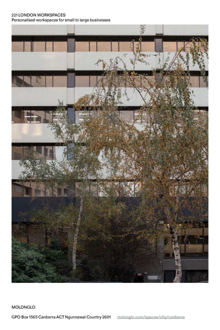 230320_221-London_Brochure_Molonglo 1