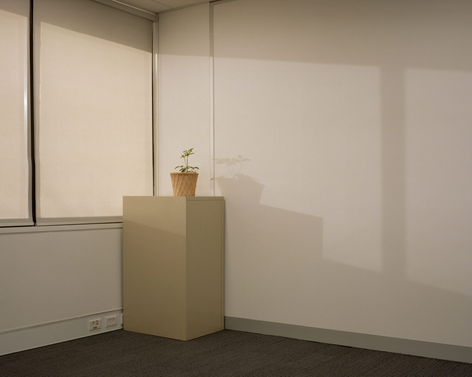 180606_221-London_Still Life_UP_5