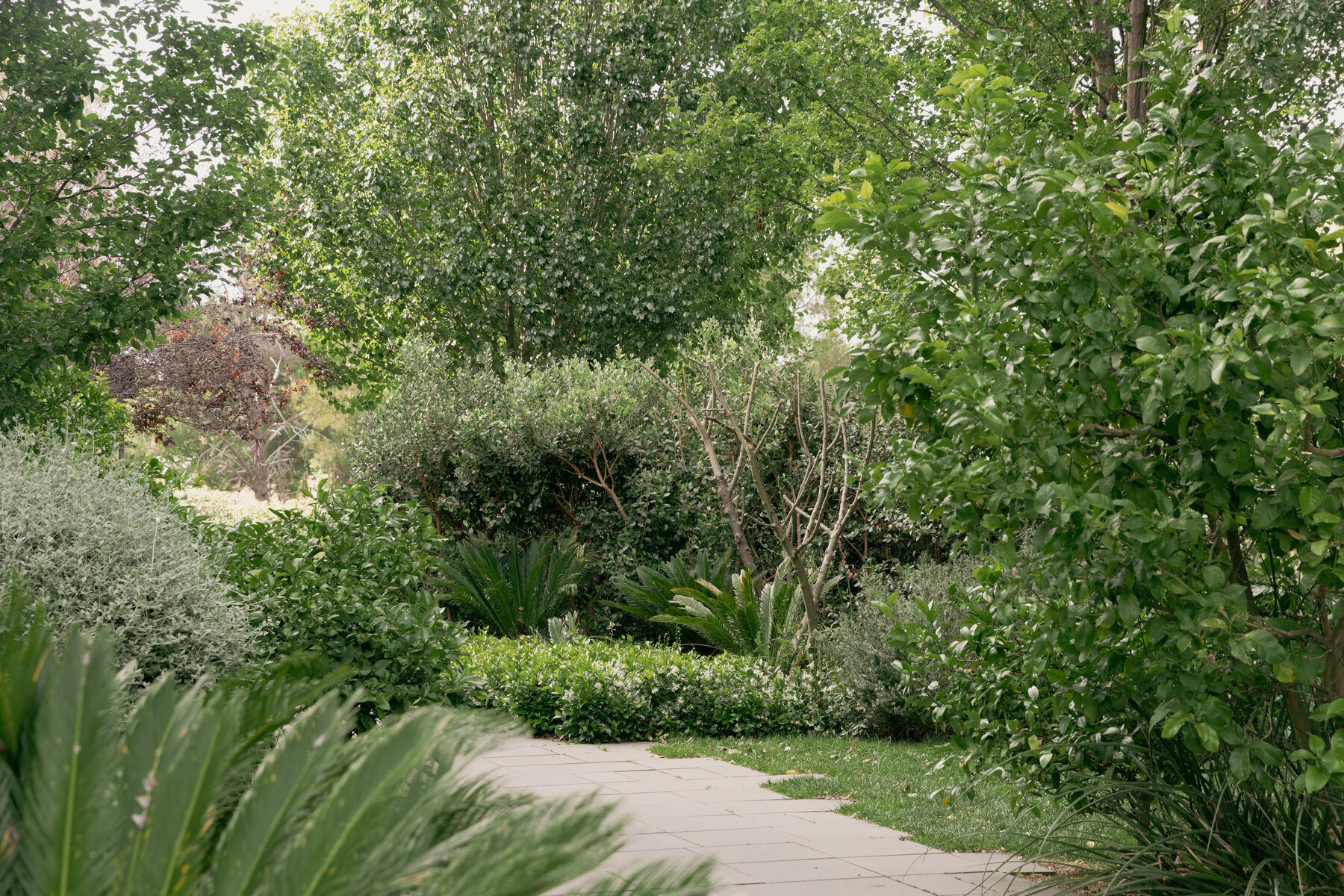 251201_Molonglo_NewActon_John Avery Gardens_KiernanMay_380_social_media